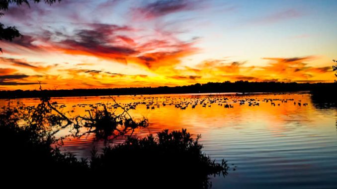 white rock lake