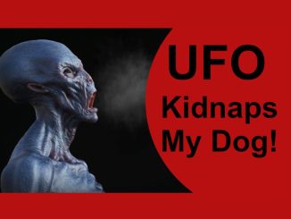 UFO Kidnaps Dog